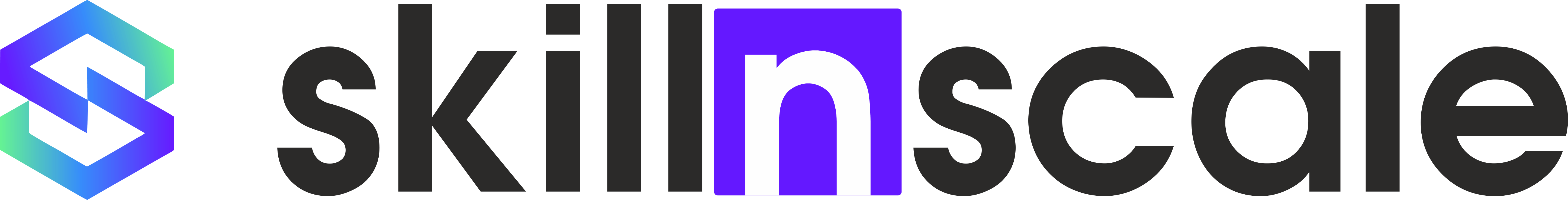 SkillNScaleL_y1ntm_5785