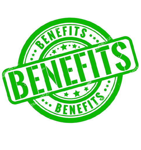 stockvectorvectorbenefitsstampisolatedontransparentbackground521758645removebgpreview_k2mzc_484