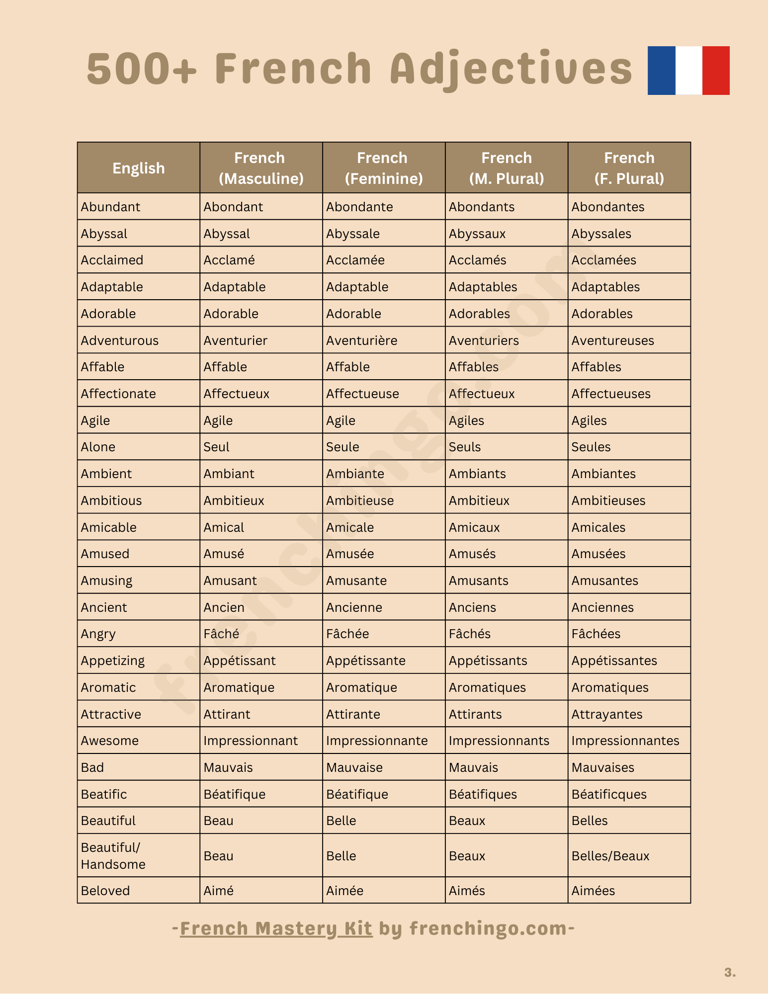500FrenchAdjectivesForCraftingElegantSentences_c0mdm_1545