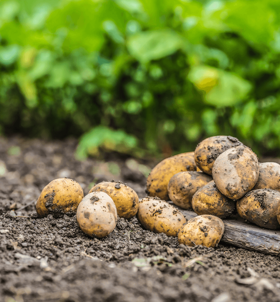 Untitled427x460px1_i4mzi_907