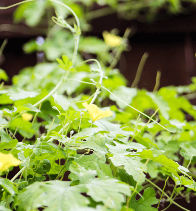 Untitled427x460px4_mzodu_641