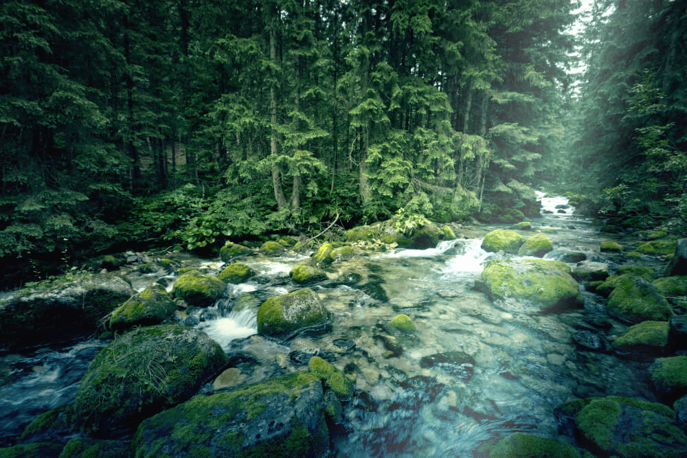 image_m4njc_1000