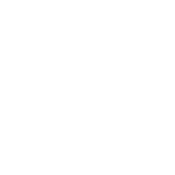 ixoti_256_leolionheadside