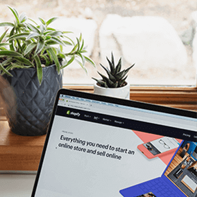 kzodk_288_l3t0nXa2lG288portfolio3