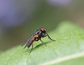 yznte_293_9UHs17yfEV293service3