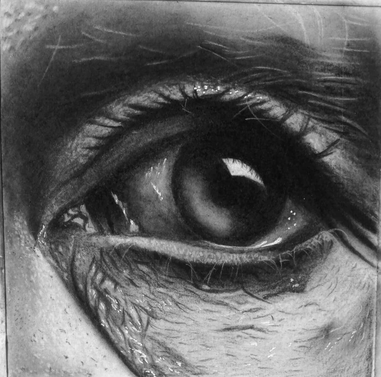 1722249566605_m0mji_1244