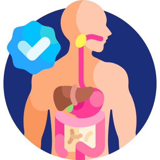digestivesystem_g3nju_512