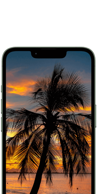 65ec7c432ec4a18_gwndc_400