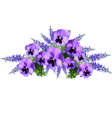 Untitleddesign35_eymdc_366