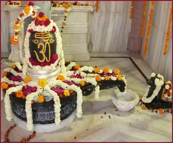 rudrabhishekam_a4ndq_555