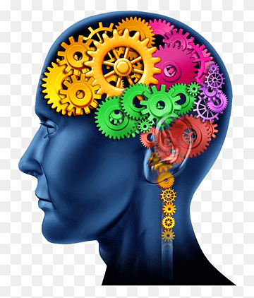 pngtransparentcreativehumanbraingearcolorhumanfacethumbnail_c1ndi_360
