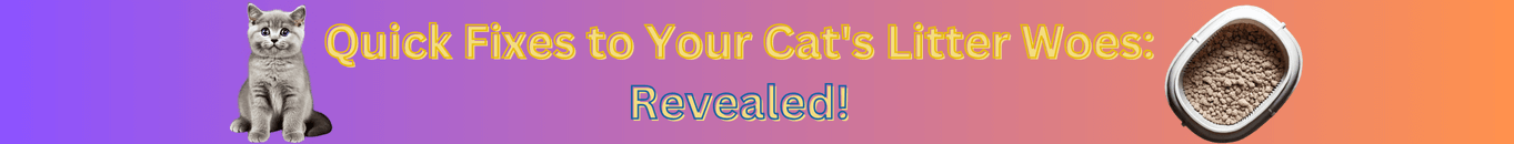 CatFrontendLOGO_g1nze_1363